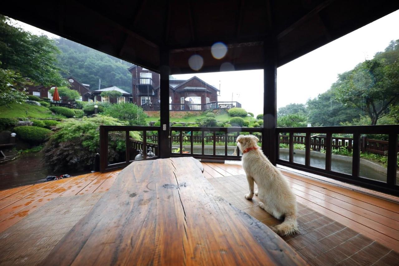 Sisilli Pension Pyeongchang Ngoại thất bức ảnh