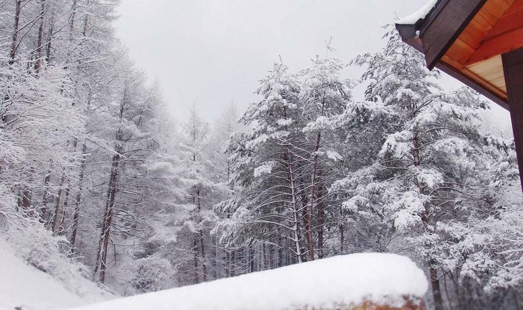 Sisilli Pension Pyeongchang Ngoại thất bức ảnh