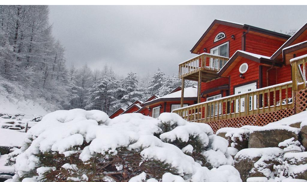 Sisilli Pension Pyeongchang Ngoại thất bức ảnh